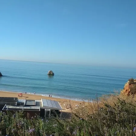 Albur Village B - Gerbera * Alvor