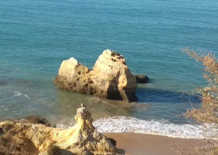 Daire Albur Village B - Gerbera *